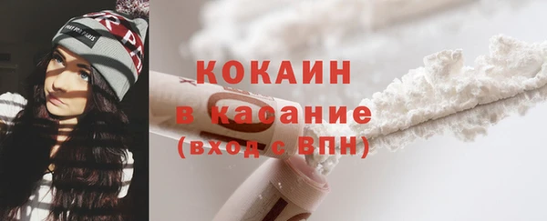 ГАЛЛЮЦИНОГЕННЫЕ ГРИБЫ Алексин