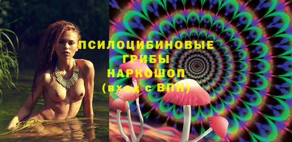МДПВ Алзамай