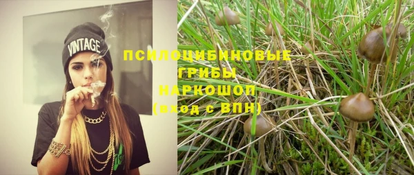 МДПВ Алзамай