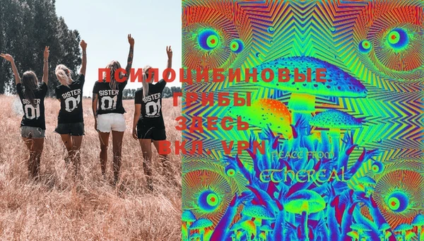 МДПВ Алзамай