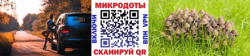 даркнет сайт mega маркетплейс Галлюциногенные грибы Psilocybe Дзержинск